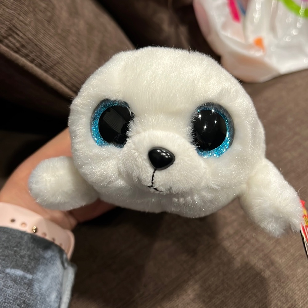 Beanie Boo, Icy the Seal